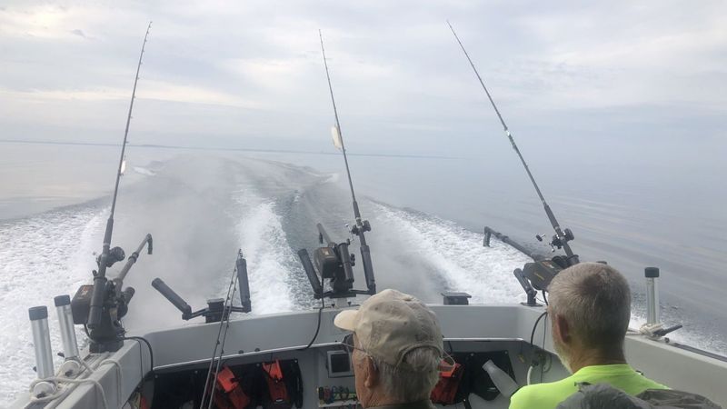 Charter Fishing Lake Michigan | 4HRS Lake Fishing